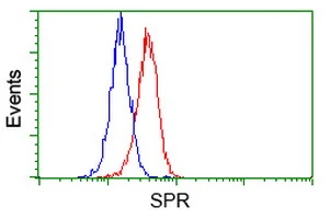 FACS analysis of HeLa cells using GTX83575 SPR antibody [3D6]. Red : Primary antibody Blue : Negative control antibody