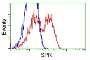 FACS analysis of HEK293T cells transfected with either SPR plasmid(Red) or empty vector control plasmid(Blue) using GTX83575 SPR antibody [3D6].