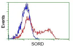 FACS analysis of HEK293T cells transfected with either Sorbitol Dehydrogenase plasmid(Red) or empty vector control plasmid(Blue) using GTX83589 Sorbitol Dehydrogenase antibody [9E7]. Dilution : 1:1000