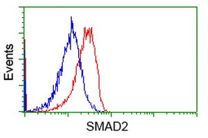 FACS analysis of Jurkat cells using GTX83612 SMAD2 antibody [2C10]. Red : Primary antibody Blue : Negative control antibody