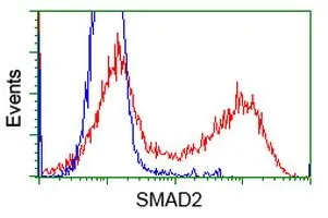 FACS analysis of HEK293T cells transfected with either SMAD2 plasmid(Red) or empty vector control plasmid(Blue) using GTX83613 SMAD2 antibody [4G7].