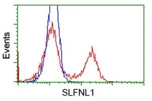 FACS analysis of HEK293T cells transfected with either SLFNL1 plasmid(Red) or empty vector control plasmid(Blue) using GTX83615 SLFNL1 antibody [4E5].