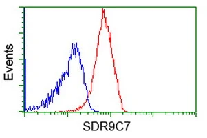 FACS analysis of Jurkat cells using GTX83673 SDR9C7 antibody [6A8]. Red : Primary antibody Blue : Negative control antibody