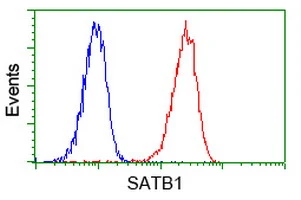 FACS analysis of Jurkat cells using GTX83679 SATB1 antibody [11E8]. Red : Primary antibody Blue : Negative control antibody