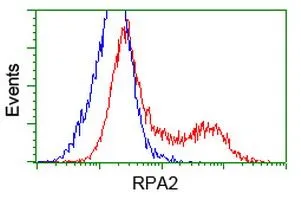 FACS analysis of HEK293T cells transfected with either RPA32 plasmid(Red) or empty vector control plasmid(Blue) using GTX83695 RPA32 antibody [7C12].