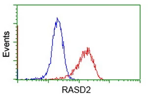 FACS analysis of Jurkat cells using GTX83723 RASD2 antibody [1D11]. Red : Primary antibody Blue : Negative control antibody
