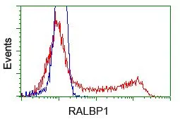 FACS analysis of HEK293T cells transfected with either RALBP1 plasmid(Red) or empty vector control plasmid(Blue) using GTX83728 RALBP1 antibody [11B2].