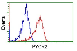 FACS analysis of Jurkat cells using GTX83752 PYCR2 antibody [4A10]. Red : Primary antibody Blue : Negative control antibody