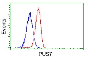 FACS analysis of Jurkat cells using GTX83756 PUS7 antibody [4H5]. Red : Primary antibody Blue : Negative control antibody