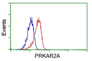 FACS analysis of Jurkat cells using GTX83823 PKA R2 antibody [1A7]. Red : Primary antibody Blue : Negative control antibody