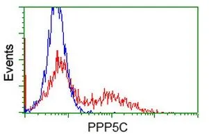 FACS analysis of HEK293T cells transfected with either PPP5C plasmid(Red) or empty vector control plasmid(Blue) using GTX83836 PPP5C antibody [3G1].
