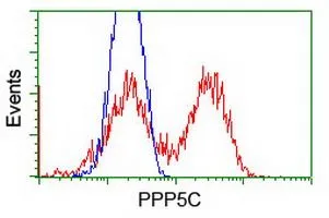 FACS analysis of HEK293T cells transfected with either PPP5C plasmid(Red) or empty vector control plasmid(Blue) using GTX83838 PPP5C antibody [6F1].