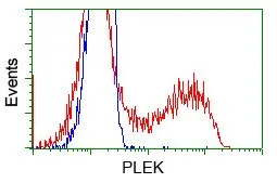 FACS analysis of HEK293T cells transfected with either Pleckstrin plasmid(Red) or empty vector control plasmid(Blue) using GTX83873 Pleckstrin antibody [4F10].