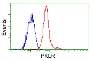 FACS analysis of Jurkat cells using GTX83878 Pyruvate Kinase (liver/RBC) antibody [1C7]. Red : Primary antibody Blue : Negative control antibody