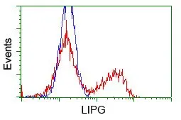 FACS analysis of HEK293T cells transfected with either PIM2 plasmid(Red) or empty vector control plasmid(Blue) using GTX83886 PIM2 antibody [10A12].