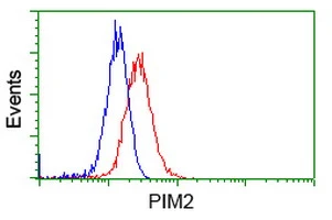 FACS analysis of HeLa cells using GTX83892 PIM2 antibody [9A5]. Red : Primary antibody Blue : Negative control antibody
