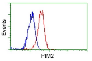FACS analysis of Jurkat cells using GTX83892 PIM2 antibody [9A5]. Red : Primary antibody Blue : Negative control antibody