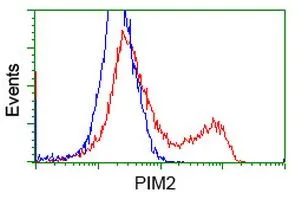 FACS analysis of HEK293T cells transfected with either PIM2 plasmid(Red) or empty vector control plasmid(Blue) using GTX83892 PIM2 antibody [9A5].