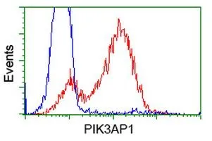 FACS analysis of HEK293T cells transfected with either PIK3AP1 plasmid(Red) or empty vector control plasmid(Blue) using GTX83893 PIK3AP1 antibody [7A11].