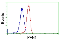 FACS analysis of HeLa cells using GTX83903 Profilin 1 antibody [1D5]. Red : Primary antibody Blue : Negative control antibody