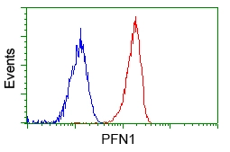 FACS analysis of Jurkat cells using GTX83903 Profilin 1 antibody [1D5]. Red : Primary antibody Blue : Negative control antibody