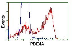 FACS analysis of HEK293T cells transfected with either PDE4A plasmid(Red) or empty vector control plasmid(Blue) using GTX83921 PDE4A antibody [6B6].