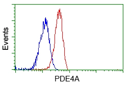 FACS analysis of Jurkat cells using GTX83922 PDE4A antibody [7B11]. Red : Primary antibody Blue : Negative control antibody