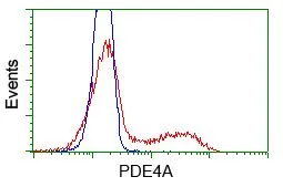 FACS analysis of HEK293T cells transfected with either PDE4A plasmid(Red) or empty vector control plasmid(Blue) using GTX83922 PDE4A antibody [7B11].