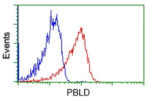 FACS analysis of Jurkat cells using GTX83938 PBLD antibody [7G5]. Red : Primary antibody Blue : Negative control antibody
