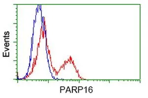 FACS analysis of HEK293T cells transfected with either PARP16 plasmid(Red) or empty vector control plasmid(Blue) using GTX83943 PARP16 antibody [2C8].