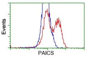 FACS analysis of HEK293T cells transfected with either PAICS plasmid(Red) or empty vector control plasmid(Blue) using GTX83948 PAICS antibody [1B4].
