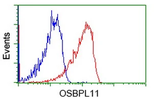 FACS analysis of Jurkat cells using GTX83960 OSBPL11 antibody [6A6]. Red : Primary antibody Blue : Negative control antibody