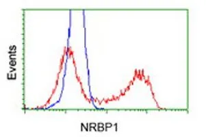 FACS analysis of HEK293T cells transfected with either NRBP1 plasmid(Red) or empty vector control plasmid(Blue) using GTX84000 NRBP1 antibody [7E2].