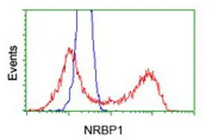 FACS analysis of HEK293T cells transfected with either NRBP1 plasmid(Red) or empty vector control plasmid(Blue) using GTX84003 NRBP1 antibody [6C11].