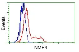 FACS analysis of HEK293T cells transfected with either NME4 plasmid(Red) or empty vector control plasmid(Blue) using GTX84028 NME4 antibody [5E4].
