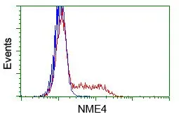 FACS analysis of HEK293T cells transfected with either NME4 plasmid(Red) or empty vector control plasmid(Blue) using GTX84032 NME4 antibody [1A5].