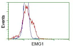 FACS analysis of HEK293T cells transfected with either NME4 plasmid(Red) or empty vector control plasmid(Blue) using GTX84034 NME4 antibody [4F10].