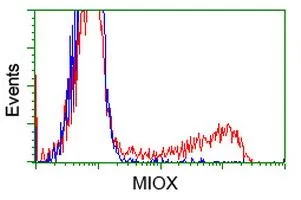 FACS analysis of HEK293T cells transfected with either MIOX plasmid(Red) or empty vector control plasmid(Blue) using GTX84112 MIOX antibody [1C5].