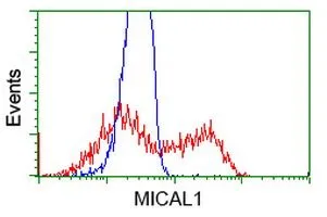 FACS analysis of HEK293T cells transfected with either MICAL1 plasmid(Red) or empty vector control plasmid(Blue) using GTX84126 MICAL1 antibody [6H10].