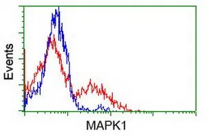 FACS analysis of HEK293T cells transfected with either ERK2 plasmid(Red) or empty vector control plasmid(Blue) using GTX84154 ERK2 antibody [6F8].