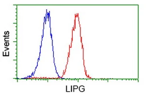 FACS analysis of Jurkat cells using GTX84191 Endothelial Lipase / LIPG antibody [4A8]. Red : Primary antibody Blue : Negative control antibody