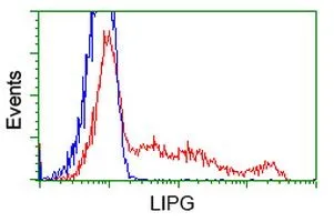 FACS analysis of HEK293T cells transfected with either Endothelial Lipase / LIPG plasmid(Red) or empty vector control plasmid(Blue) using GTX84195 Endothelial Lipase / LIPG antibody [2A5].