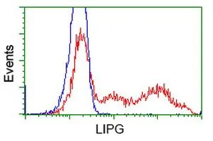 FACS analysis of HEK293T cells transfected with either Endothelial Lipase / LIPG plasmid(Red) or empty vector control plasmid(Blue) using GTX84209 Endothelial Lipase / LIPG antibody [1B8].