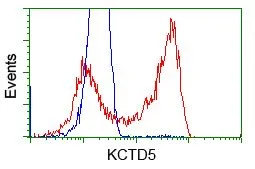 FACS analysis of HEK293T cells transfected with either KCTD5 plasmid(Red) or empty vector control plasmid(Blue) using GTX84281 KCTD5 antibody [3C8].