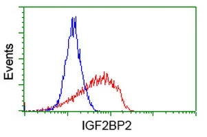 FACS analysis of Jurkat cells using GTX84309 IGF2BP2 antibody [4F7]. Red : Primary antibody Blue : Negative control antibody