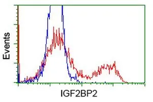 FACS analysis of HEK293T cells transfected with either IGF2BP2 plasmid(Red) or empty vector control plasmid(Blue) using GTX84309 IGF2BP2 antibody [4F7].
