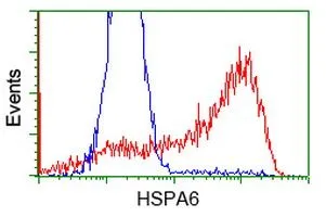 FACS analysis of HEK293T cells transfected with either HSPA6 plasmid(Red) or empty vector control plasmid(Blue) using GTX84333 HSPA6 antibody [1H3].