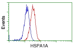 FACS analysis of HeLa cells using GTX84338 Hsp70 antibody [3C6]. Red : Primary antibody Blue : Negative control antibody