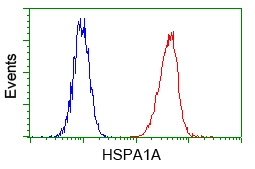 FACS analysis of HeLa cells using GTX84340 Hsp70 antibody [5F3]. Red : Primary antibody Blue : Negative control antibody