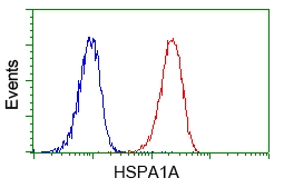 FACS analysis of Jurkat cells using GTX84340 Hsp70 antibody [5F3]. Red : Primary antibody Blue : Negative control antibody